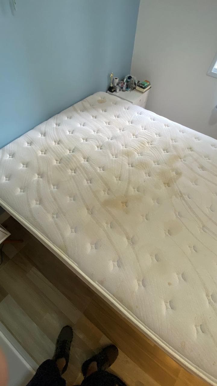 Poltrona após limpeza profunda